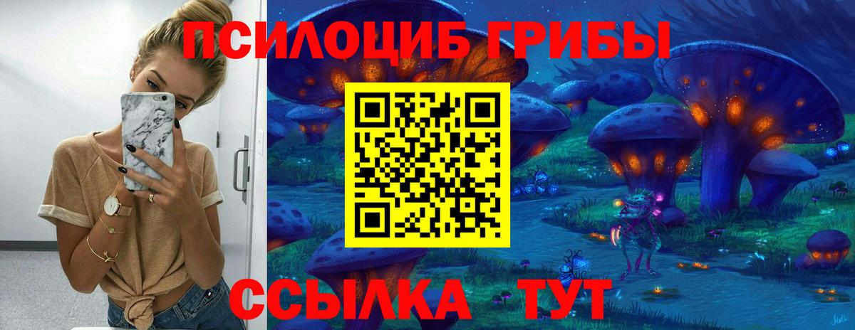 Галлюциногенные грибы Psilocybe  Вход с VPN  где купить наркоту  Урус-Мартан 